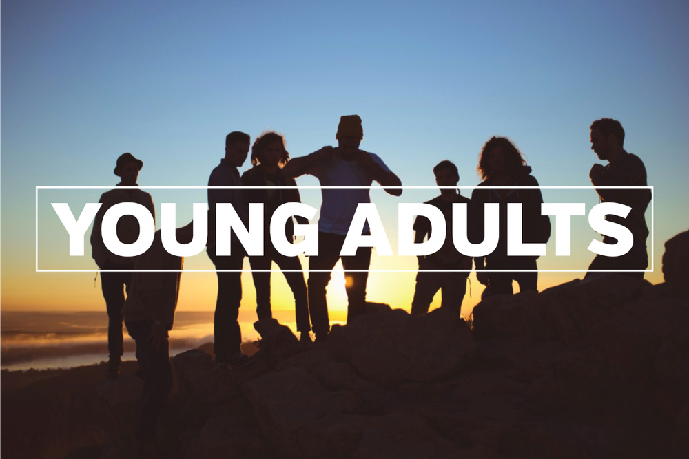 Image for Young Adults Volunteer Interest